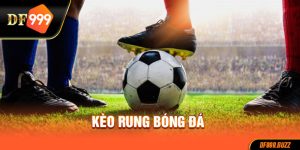 Hướng dẫn cách tham gia kèo rung