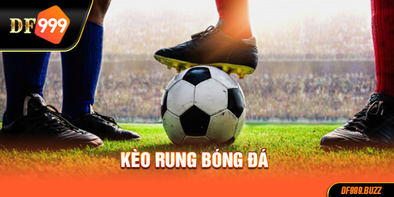 Hướng dẫn cách tham gia kèo rung